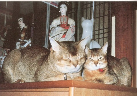 寝姿色～とりどりサムネイル