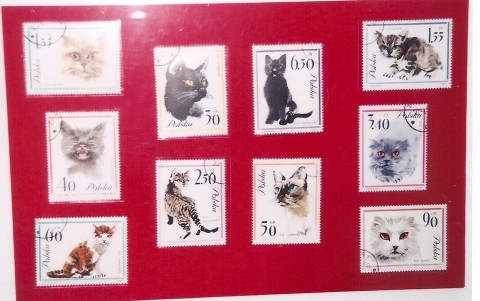 切手の猫達