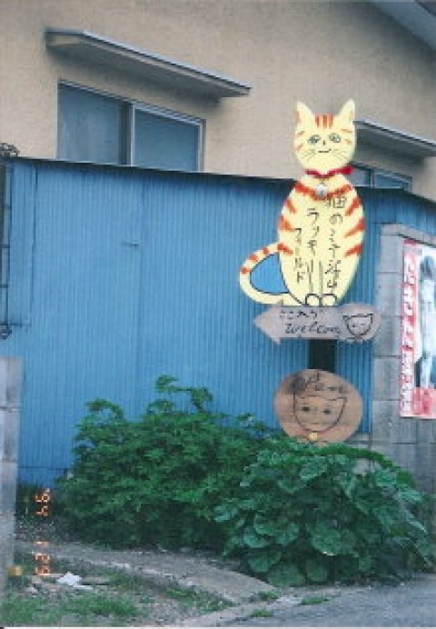 ねこの看板