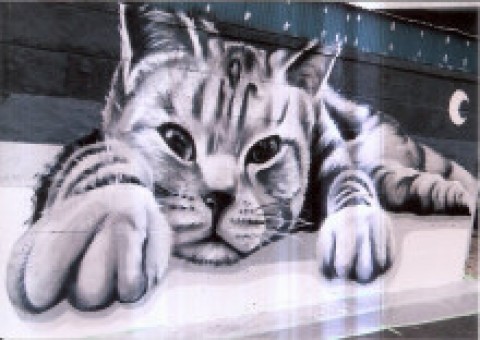 巨大猫の壁画　作者bo2田島
