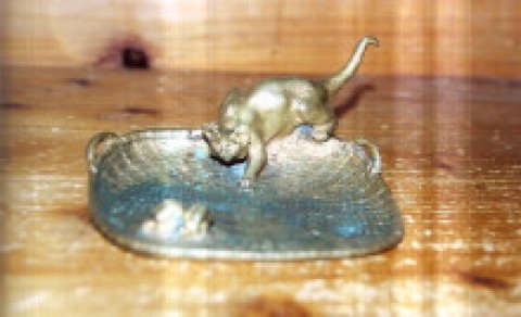 水に遊ぶアンテックの猫