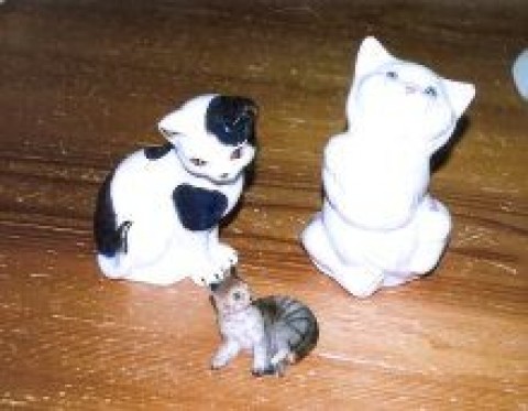 陶器の猫達
