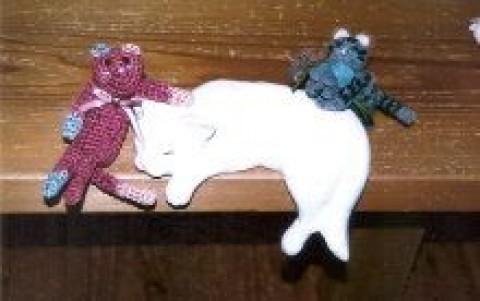 眠る猫と毛糸のねこ