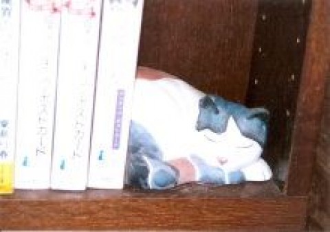 眠る猫のブックスタンド
