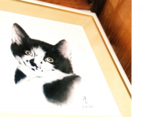 猫の肖像