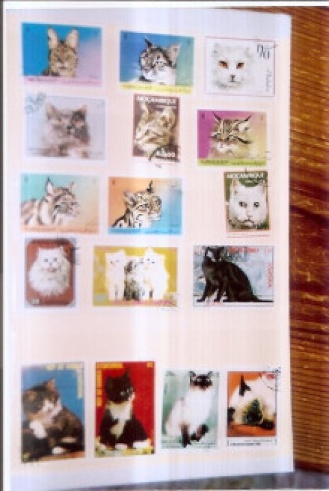 猫の切手