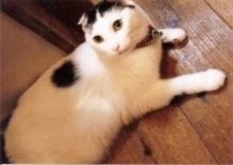 何してるの‼