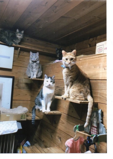 並んで顔見せる