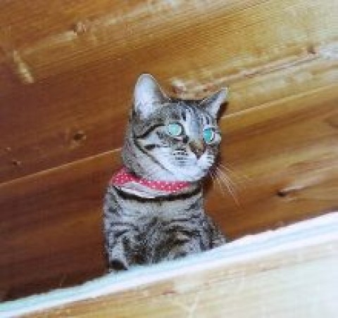 高いところから